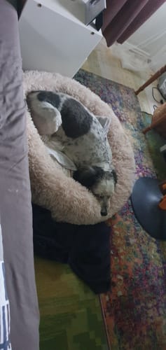 Customer photo review of CalmBed - Motverkar stress & hjälper mot ångest