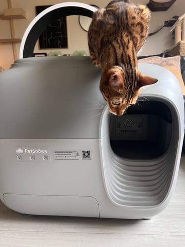 Customer photo review of Self-Cleaning Litter Box