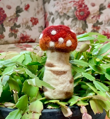 Customer photo review of Sophie Wheatley's Felted Fungi Supplies Box