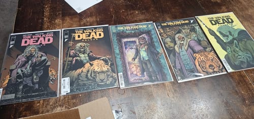 Customer photo review of Walking Dead Deluxe #108 Cover C Nate Bellegarde & Olli Hihnala Connecting Variant (Mature)