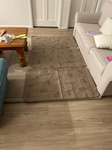 Customer photo review of The Mellow Mat® v2 (Soft Touch Sensory Tatami Rug)