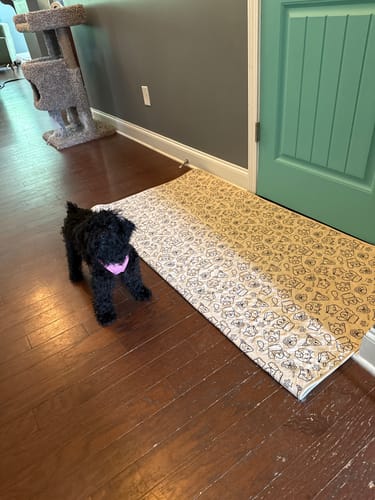 Customer photo review of Potty Buddy™ - The Durable Leak-Free Potty Pad