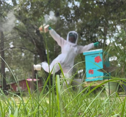 Customer photo review of BeeCastle Hives 10 Frame 3 Layer Screened Bottom Board Wax Coat Cedar Wood Beehive Kit with 2 Deep Box,1 Super Box,Pine Wooden Frame and Beeswax Plastic Foundation for Beekeeping