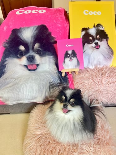 Customer photo review of Petcanva©オーダーメイド ペット似顔絵
