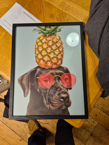 Customer photo review of Ultimate Bundle: 10 Pack