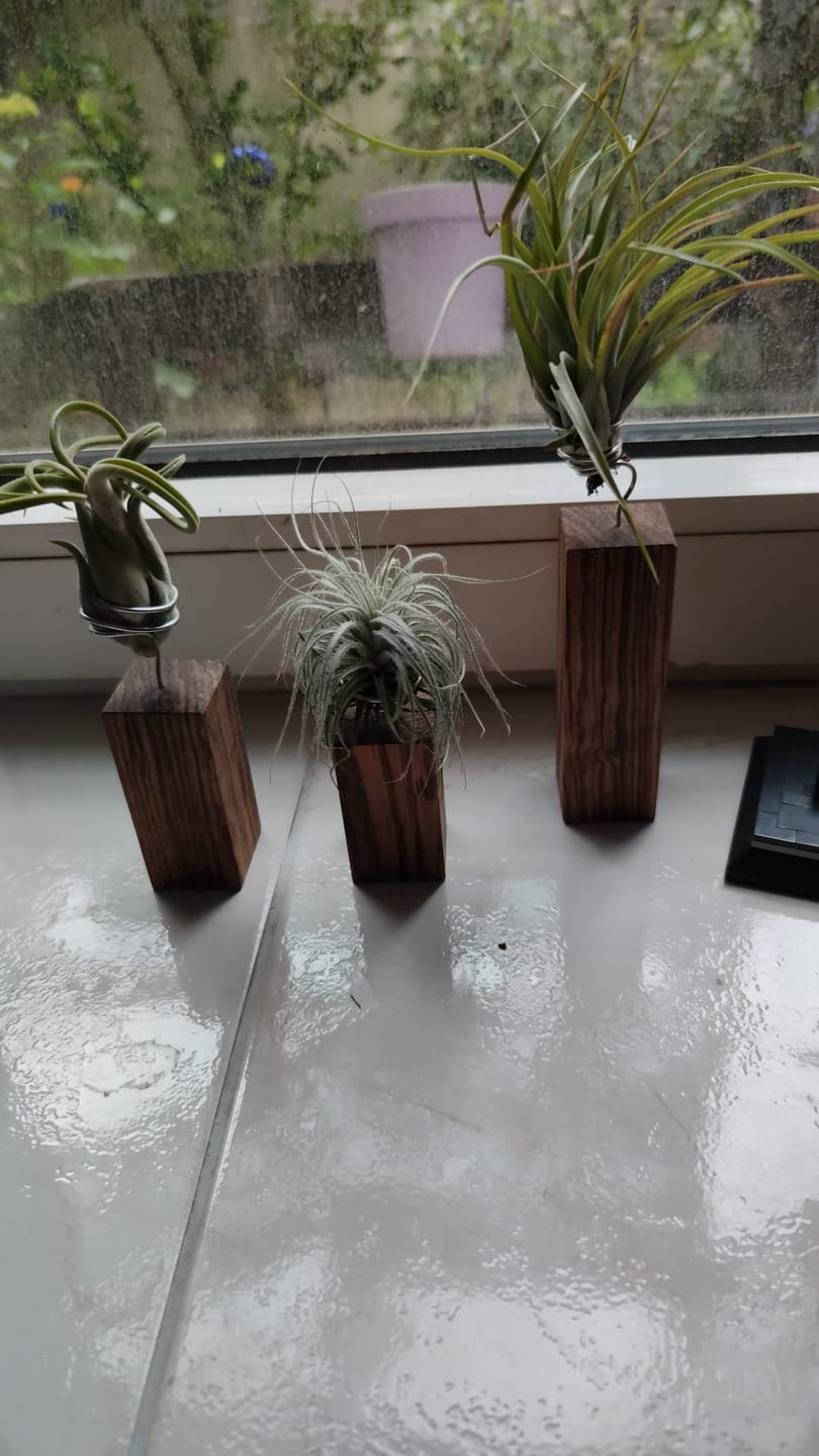 Customer photo review of Tilly Xylo -3er Set