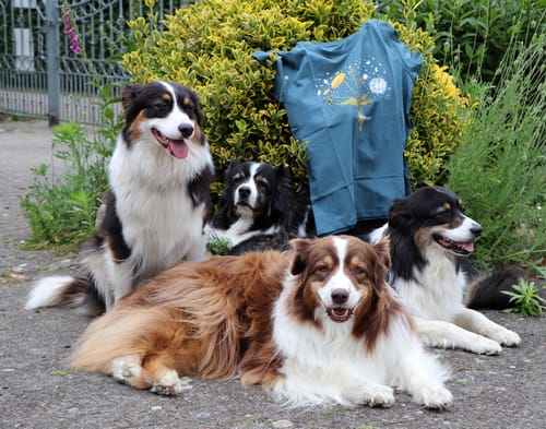 Customer photo review of Löwenzahn Lebenszyklus - Damen Premium Organic Shirt