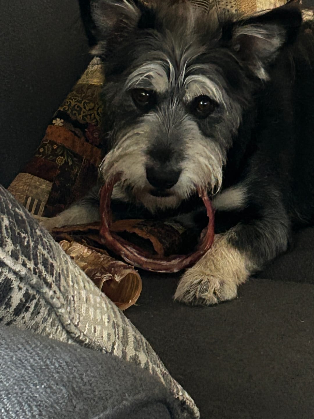 Customer photo review of Large Bully Stick Ring