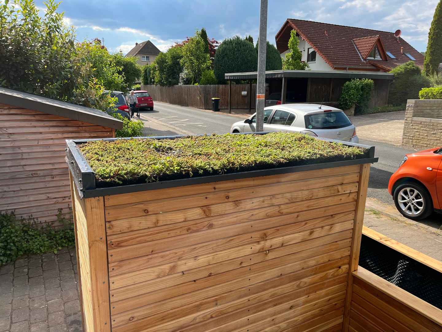 Customer photo review of Sedum-Mix Sedummatten