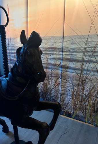 Customer photo review of Foto Schiebegardine "Sonnenuntergang Ostsee"