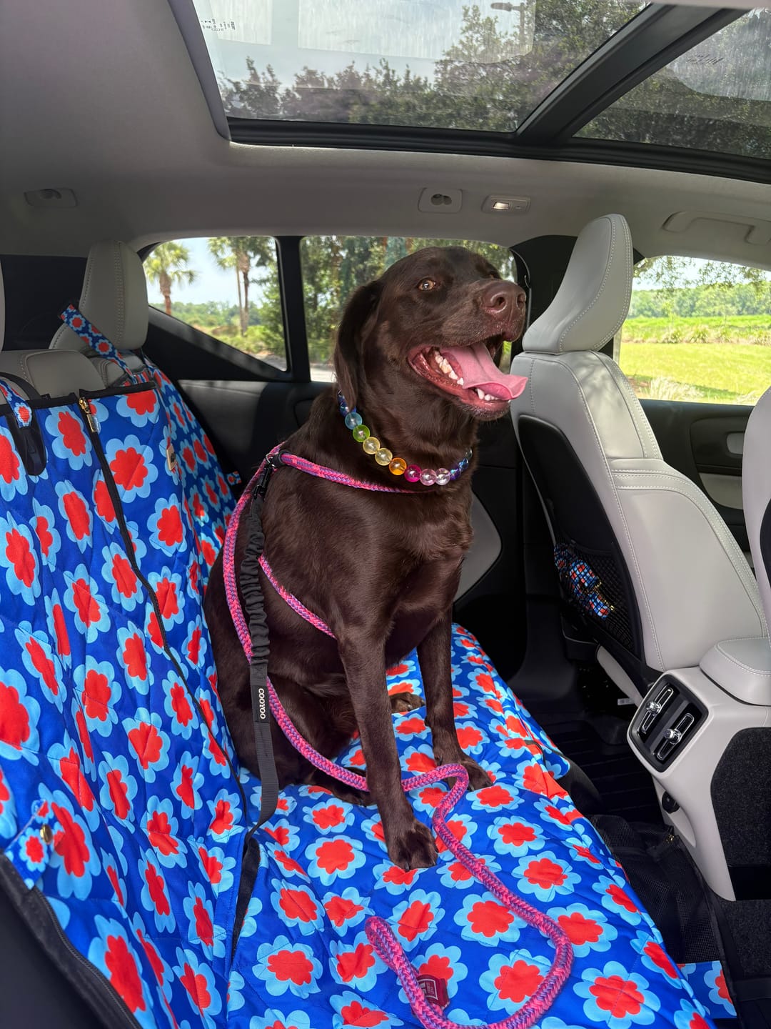 Customer photo review of Sorrento - Dog Car Seat Cover