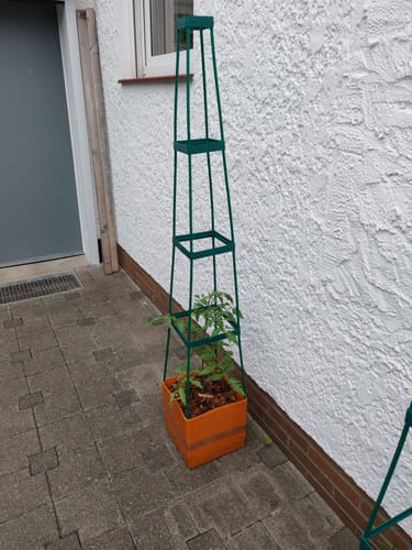 Customer photo review of 5er-Set Pflanzenturm MaxiTom, 150 cm, Farbe: terracotta