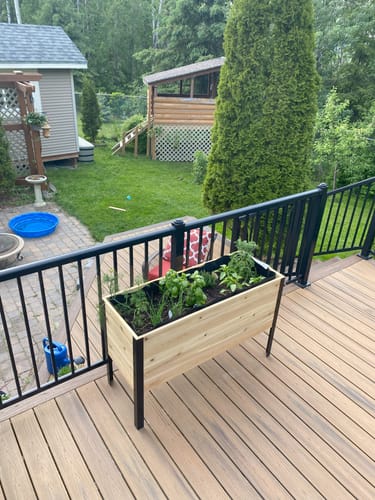 Customer photo review of 18" x 48" Raised Garden Bed - 30" TALL