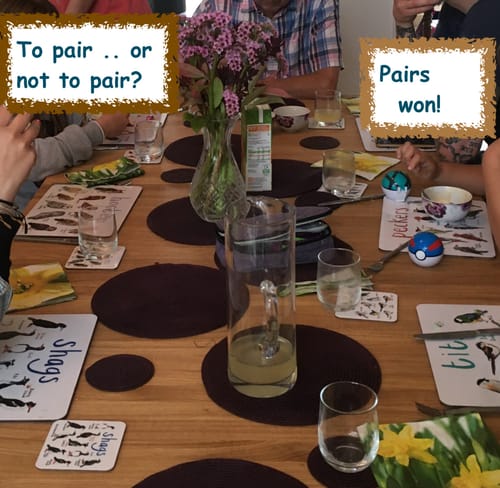 Customer photo review of Boxed Set of 6 Playful Place Mats