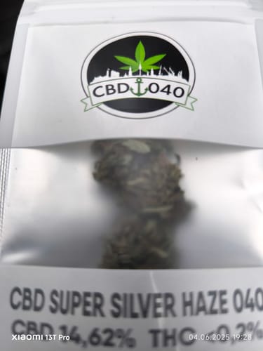Customer photo review of Super Silver Haze CBD Blüten Indoor