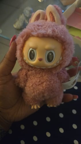 Customer photo review of Pop Mart Labubu The Monsters Tasty Macarons Vinyl Face Blind Box