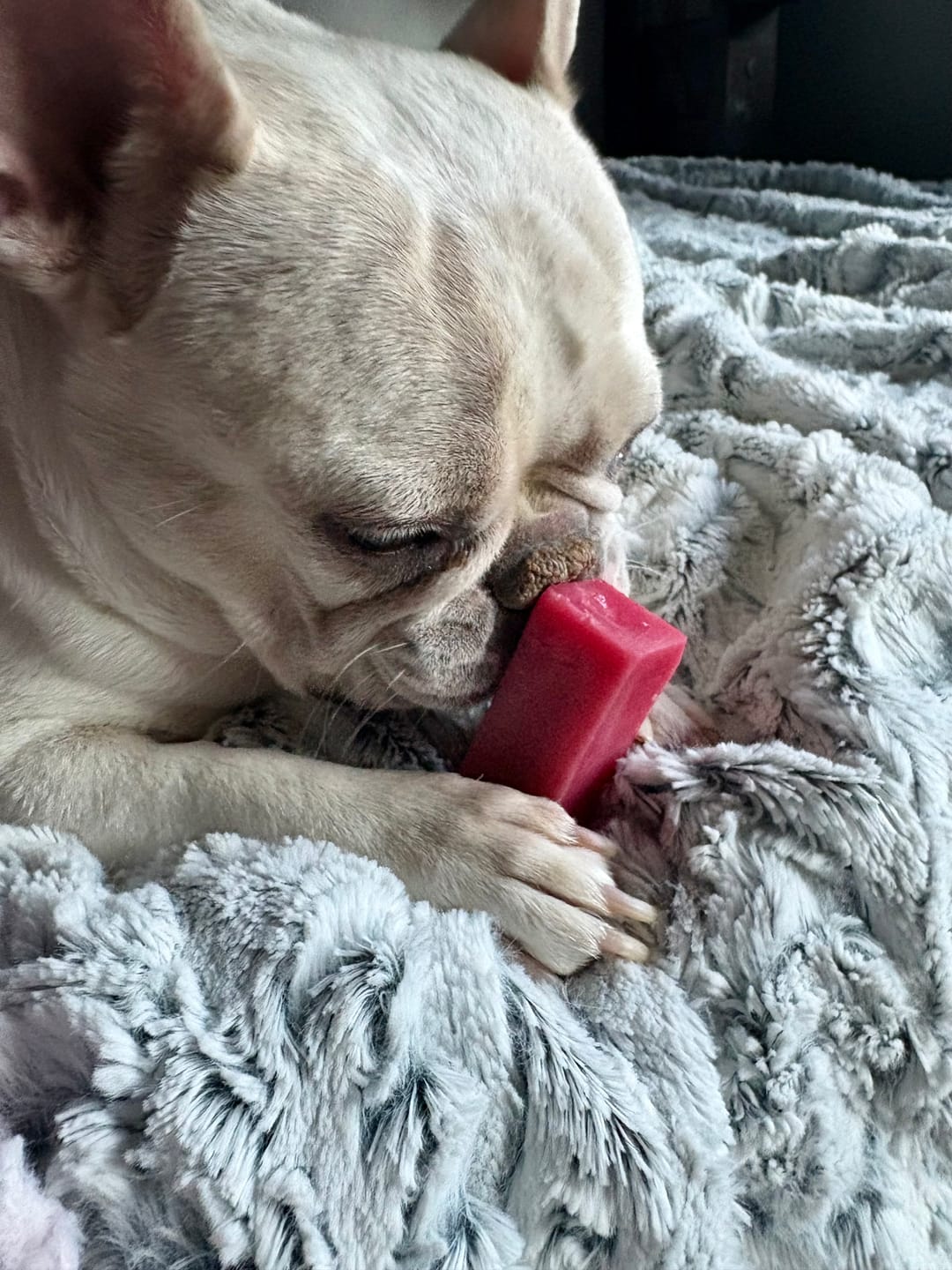 Customer photo review of Strawberry Himalayan Yak Chew (MEDIUM)
