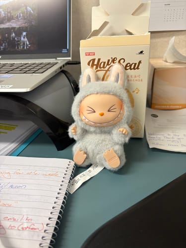 Customer photo review of Pop Mart Labubu The Monsters Have a Seat Vinyl Plush Blind Box