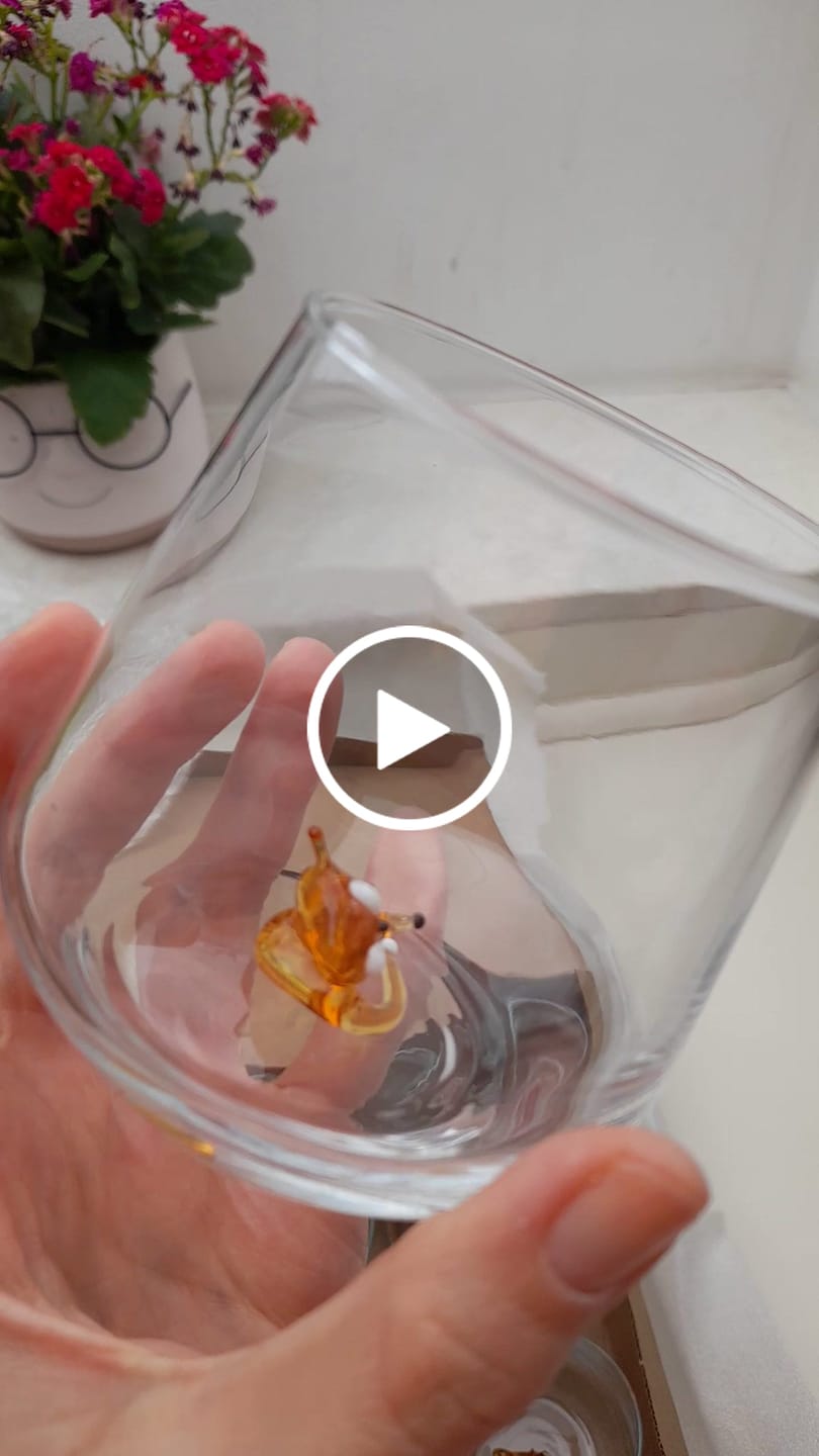 Customer video review of Fox Glass
