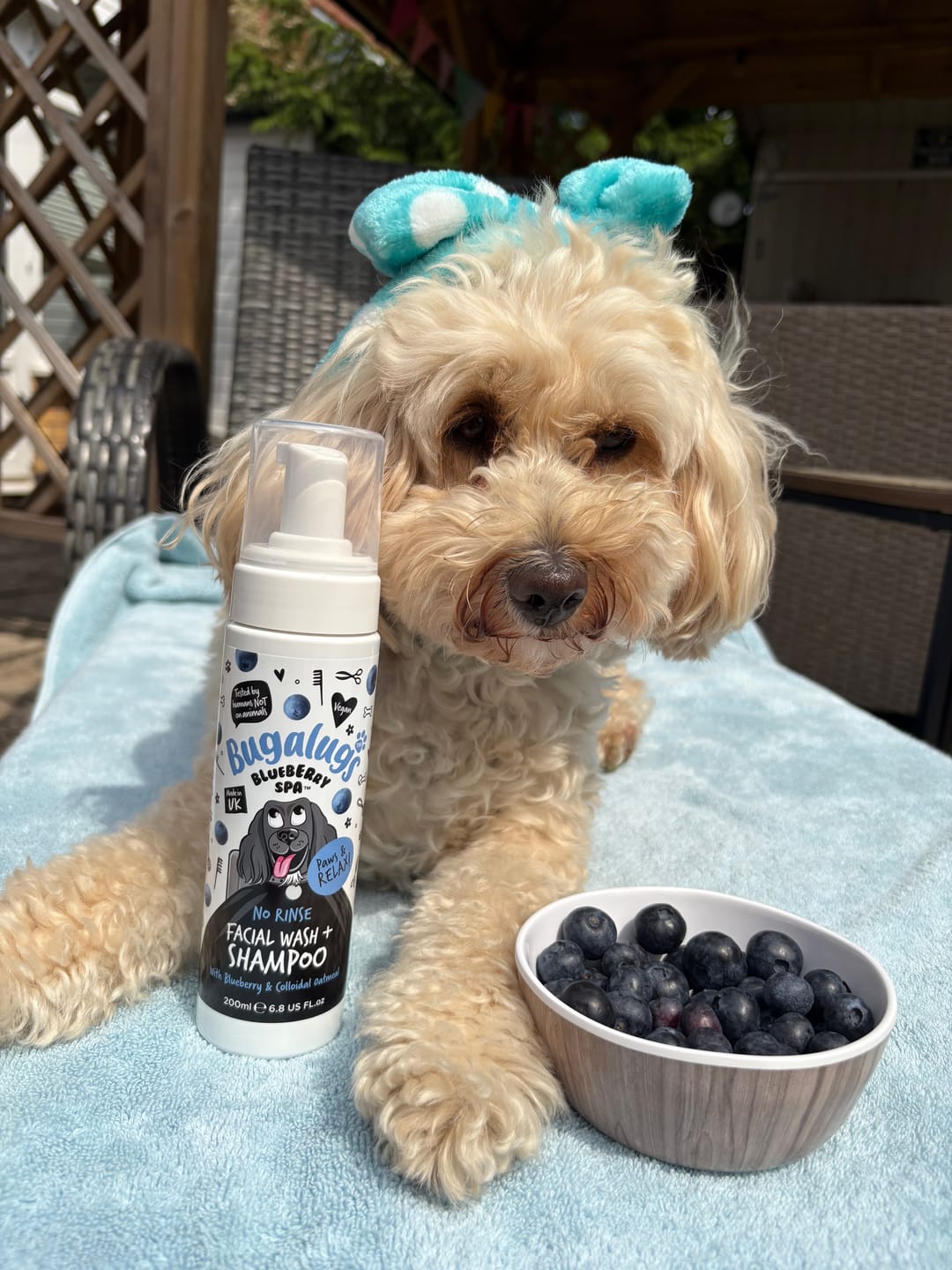 Customer photo review of Blueberry Spa™ No Rinse Facial Wash + Shampoo with Blueberry & Colloidal Oatmeal for Dogs