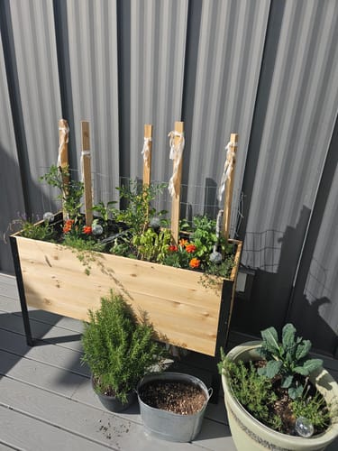 Customer photo review of 18" x 48" Raised Garden Bed - 30" TALL