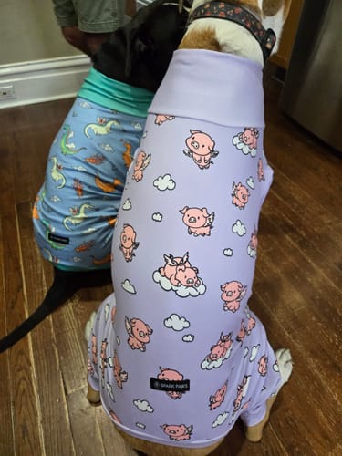 Customer photo review of Dog Pajama - Dragons