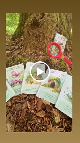 Customer video review of Gefunden! Outdoor Suchspiel