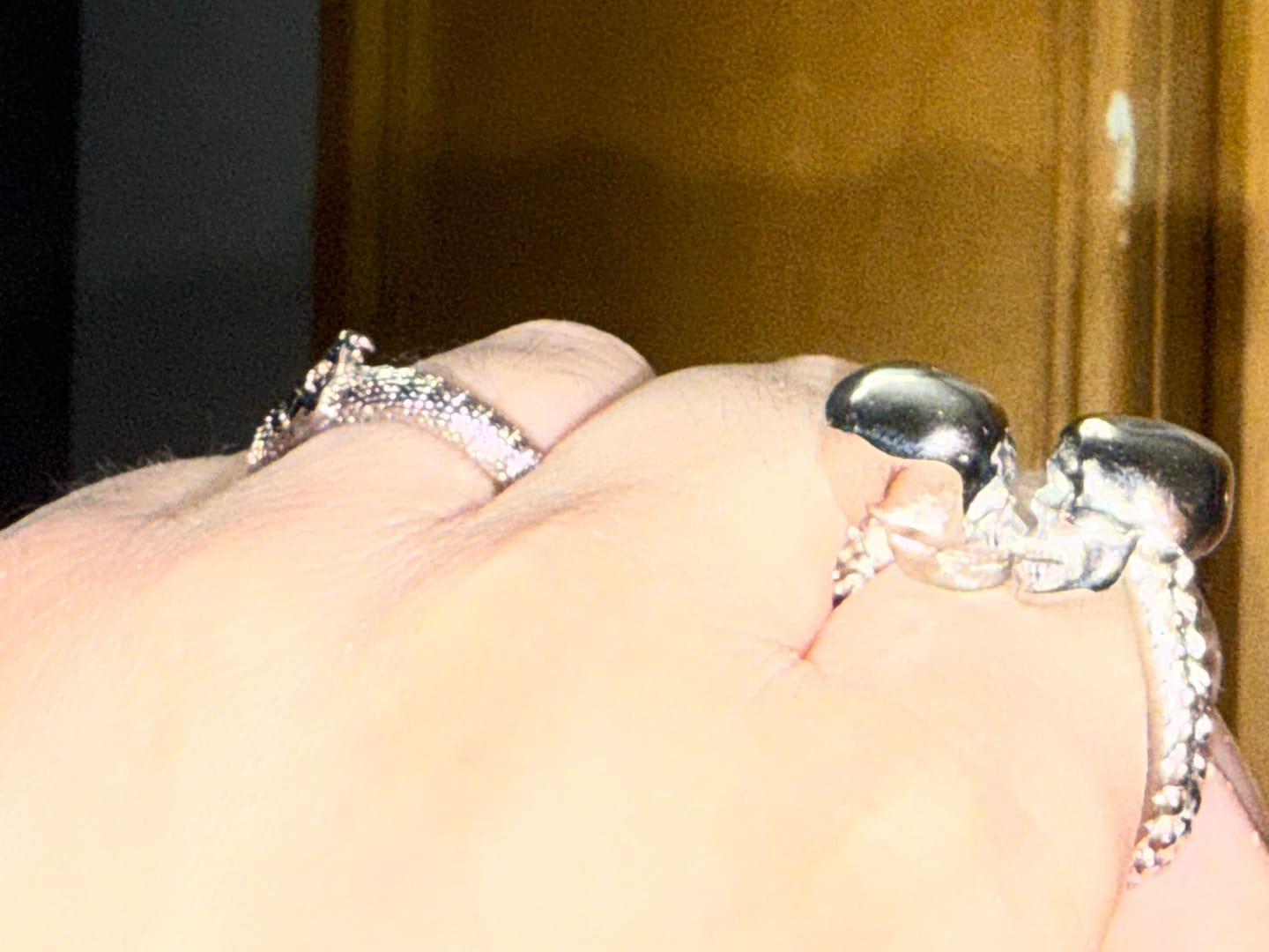 Customer photo review of OROBORUS RING