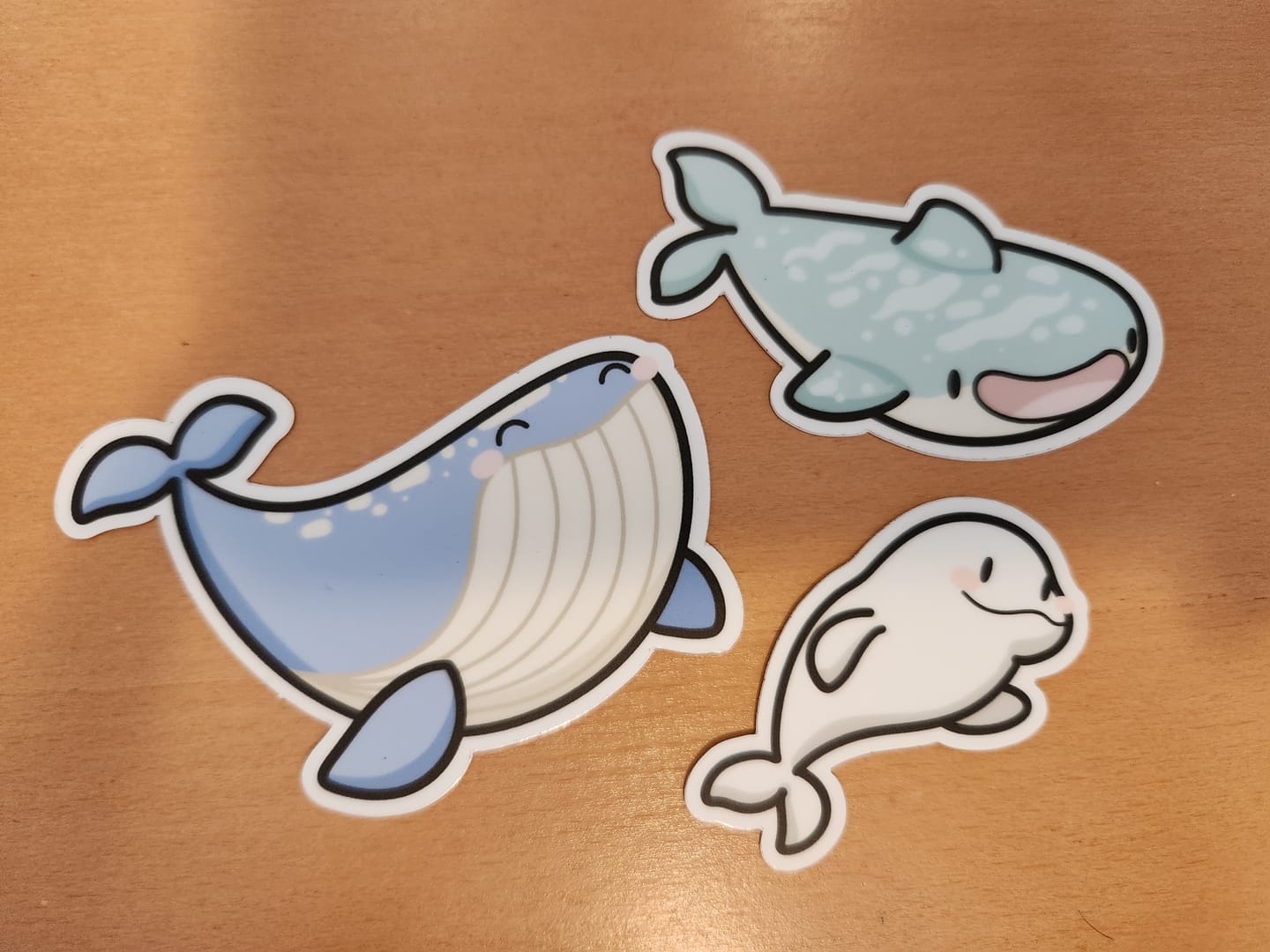 Customer photo review of Deep Blue Sea Die Cut Stickers