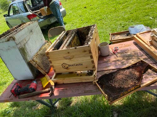 Customer photo review of BeeCastle Hives 10 Frame Wax Coat Complete Beehive Kit:2 Designed Deep Bee Boxes and 1 Super Medium Box,Includes Premium Wooden Frames and Beeswax-Plastic Foundation