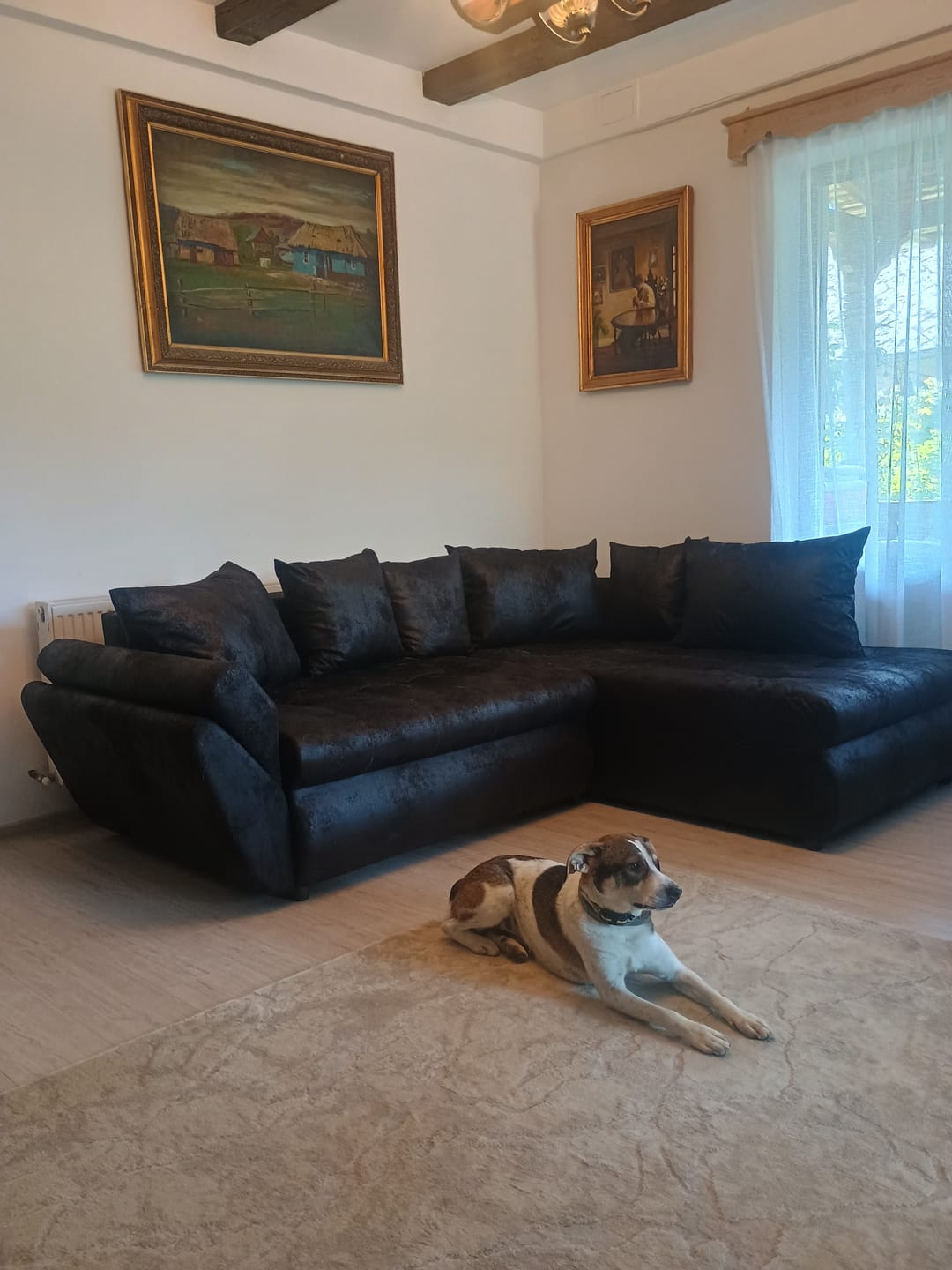 Customer photo review of Colțar extensibil dumonde cu ladă de depozitare si sezut confortabil din spuma HR, Loana Deep Black II 270x185 cm