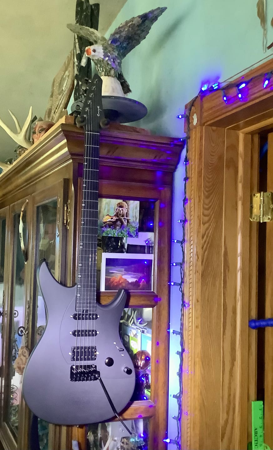 Customer photo review of Inspire
