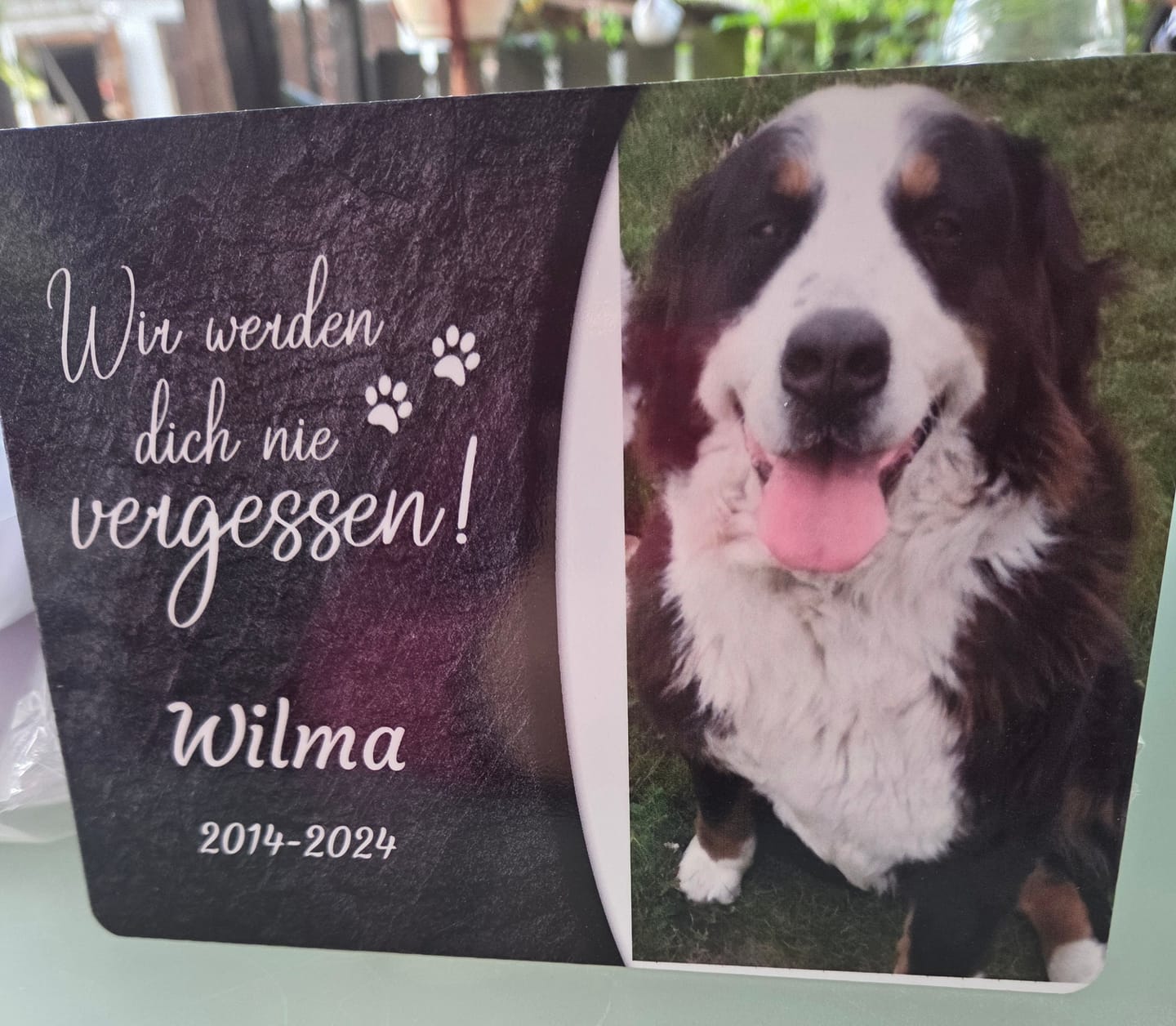 Customer photo review of Hunde Gedenktafel mit Foto & Spruch (UV- & Wetterfest)