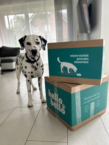 Customer photo review of Frischfutter für Energiebedarf von 1201 kCal/Tag