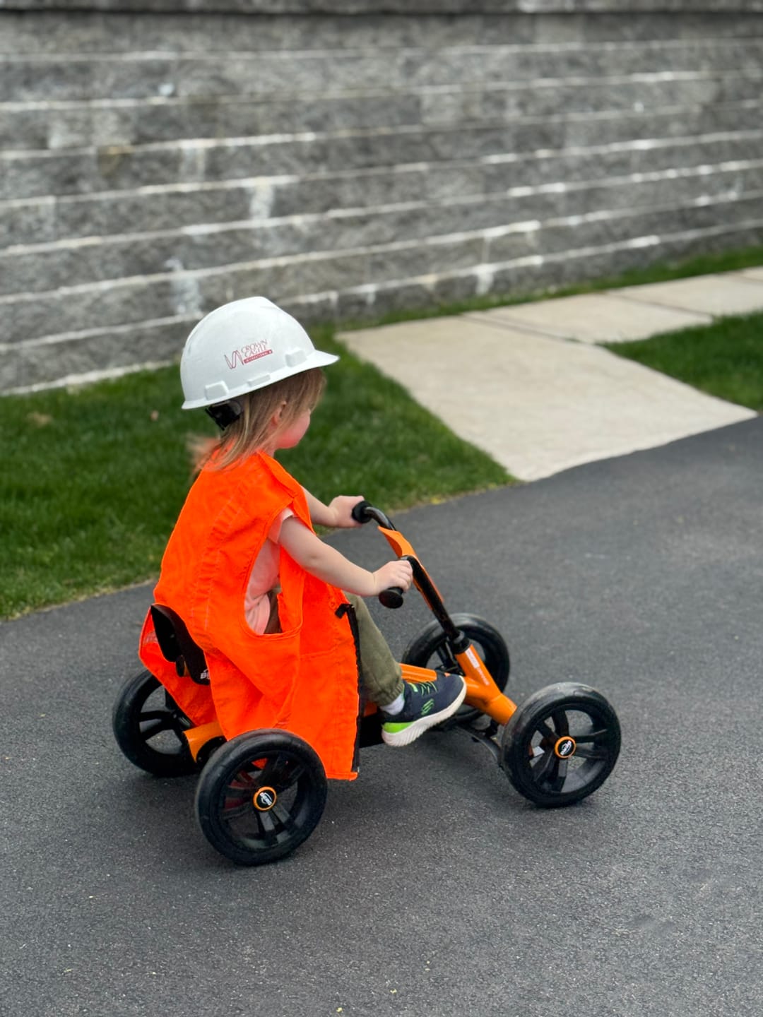Customer photo review of BERG Buzzy