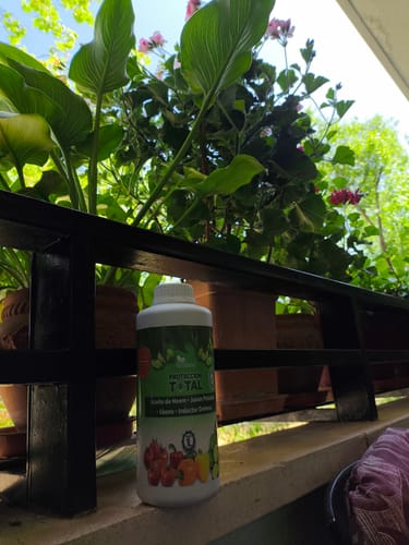 Customer photo review of FERTIBONO Protección Total: Jabón Potásico, Aceite de Neem, Fungicida y Abono Natural, (1 L),Protección, Prevención y Curación de Enfermedades Fúngicas e Insectos Dañinos en Plantas - Residuo Cero