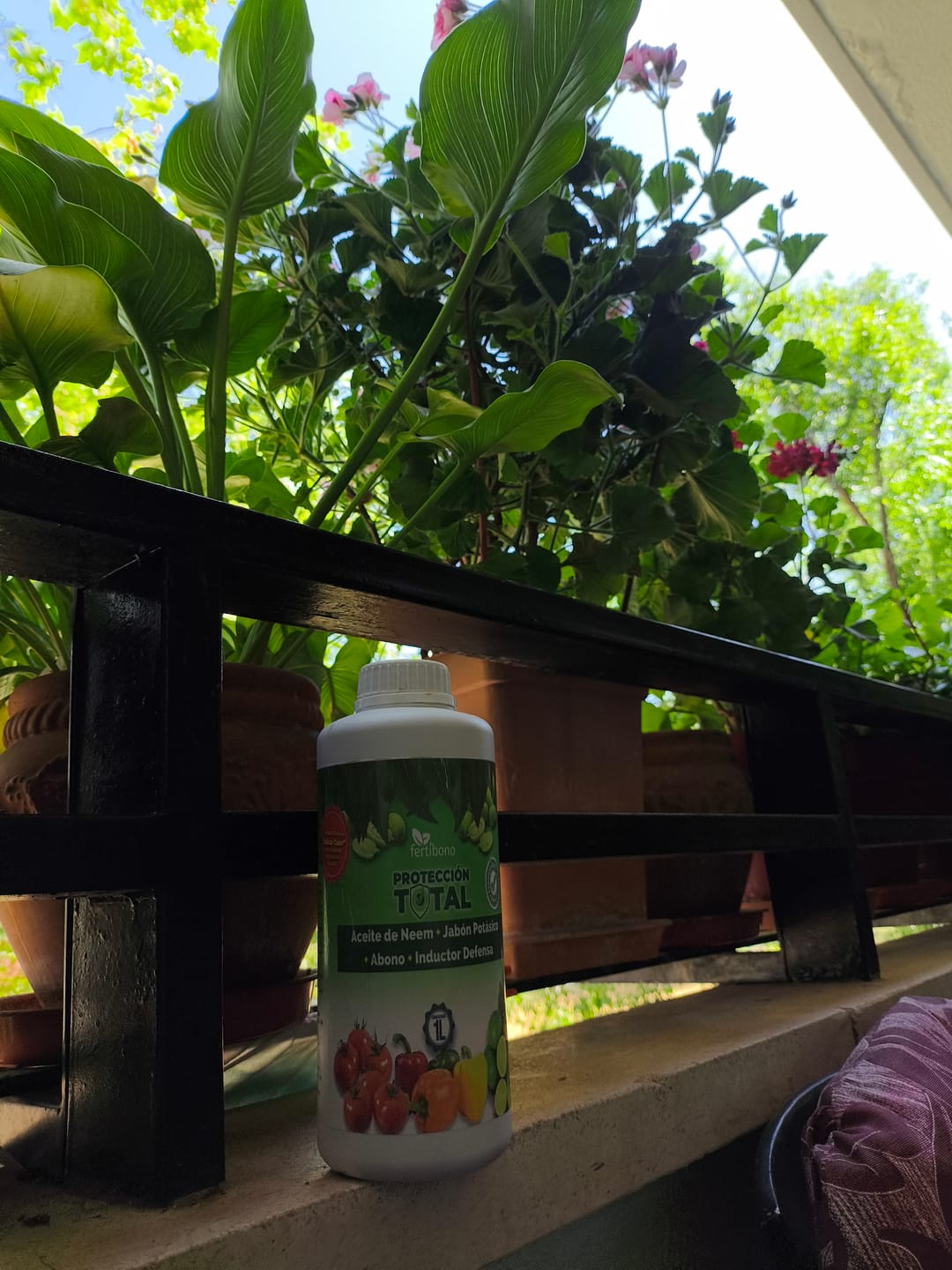Customer photo review of FERTIBONO Protección Total: Jabón Potásico, Aceite de Neem, Fungicida y Abono Natural, (1 L),Protección, Prevención y Curación de Enfermedades Fúngicas e Insectos Dañinos en Plantas - Residuo Cero
