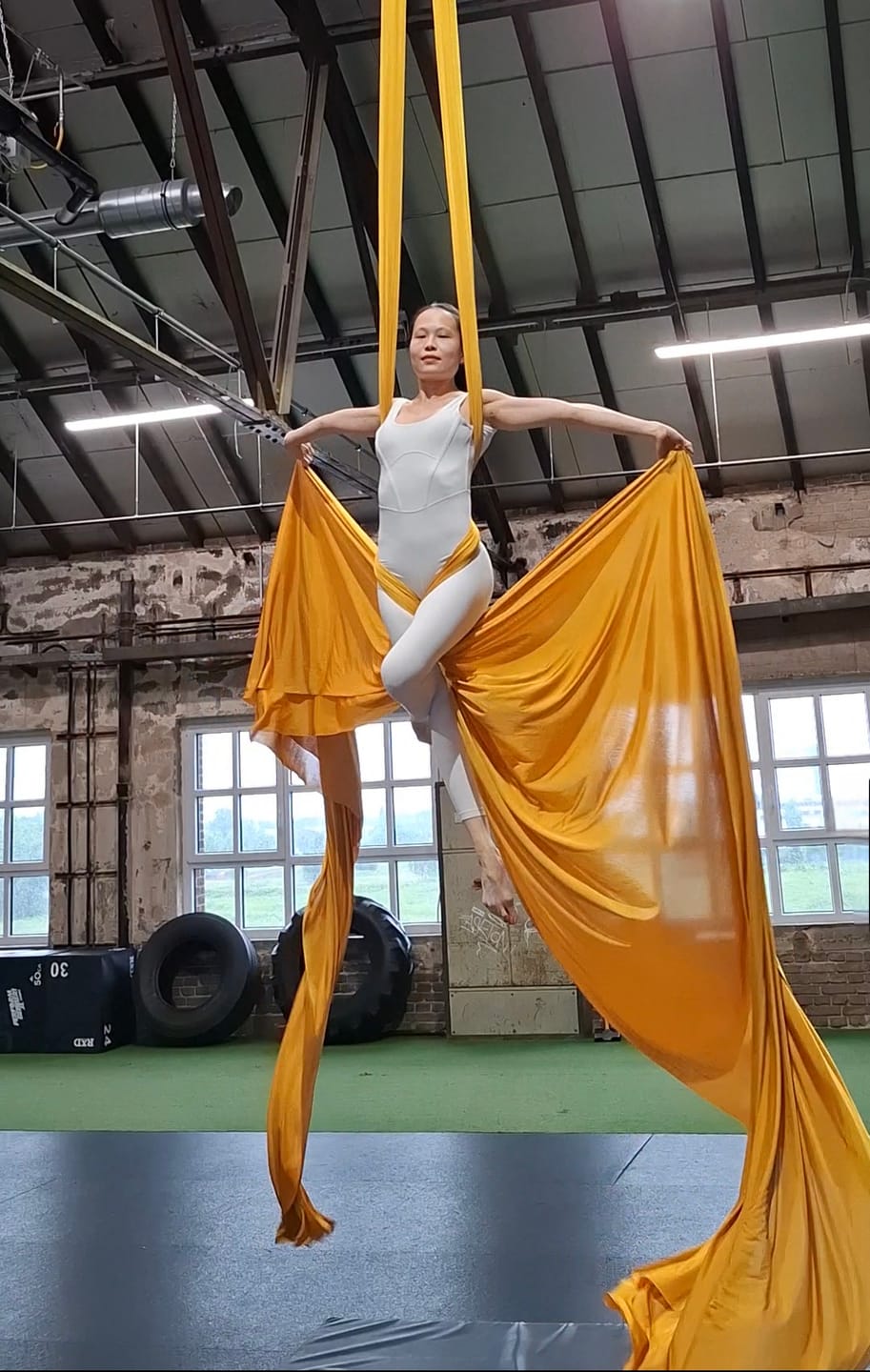 Customer photo review of Aerial Silk Exclusive - gold