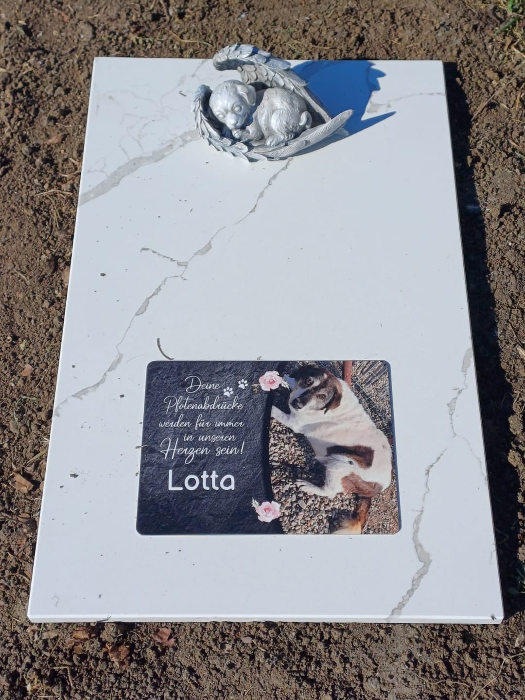 Customer photo review of Hunde Gedenktafel mit Foto & Spruch (UV- & Wetterfest)