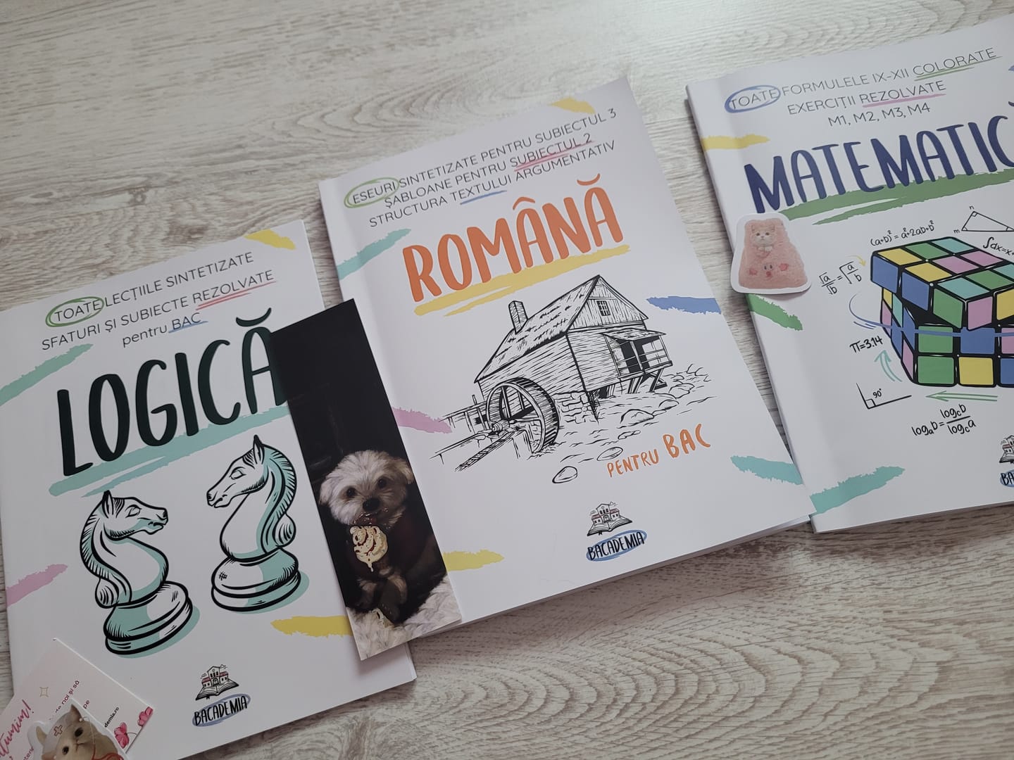 Customer photo review of Pachet Bacalaureat (Română + Matematică + Logică) Bacademia