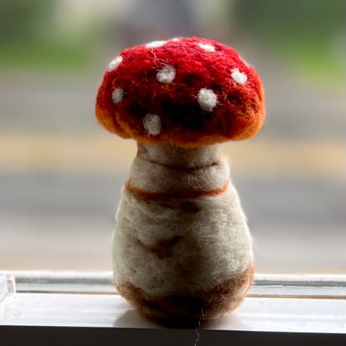 Customer photo review of Sophie Wheatley's Felted Fungi Supplies Box