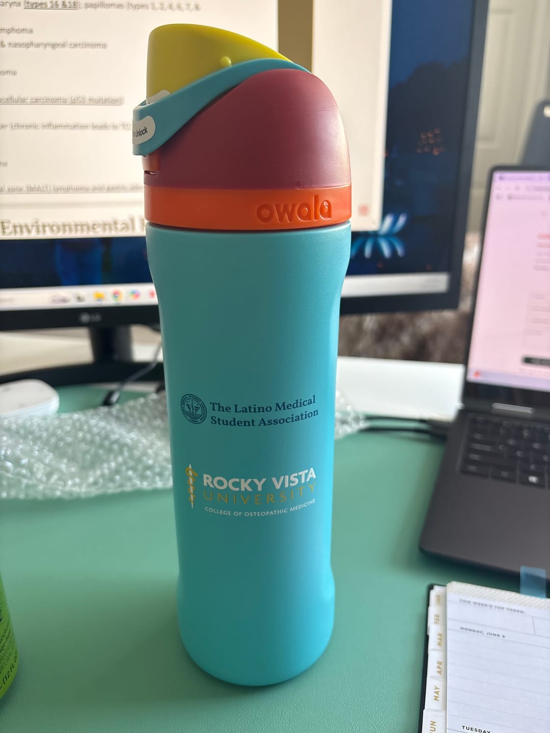 Customer photo review of Freesip | 24 oz