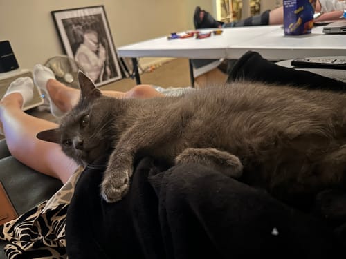 Customer photo review of Digger Hat