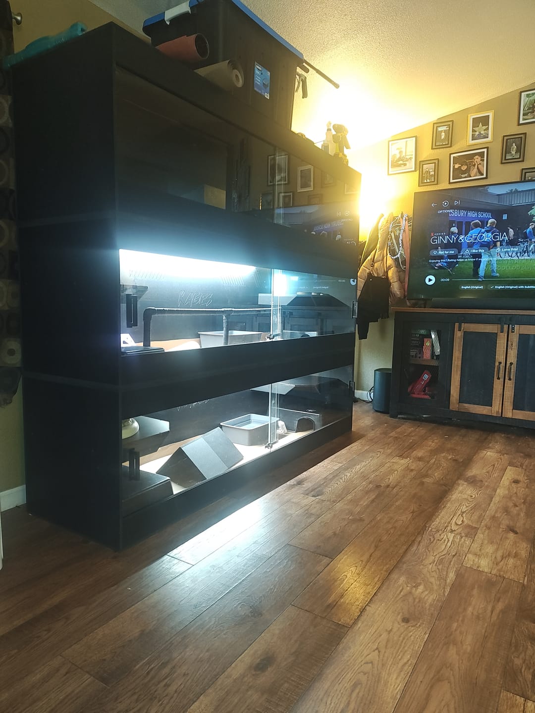 Customer photo review of 84"x24"x24" / 7'x2'x2' Premium PVC Reptile Enclosure