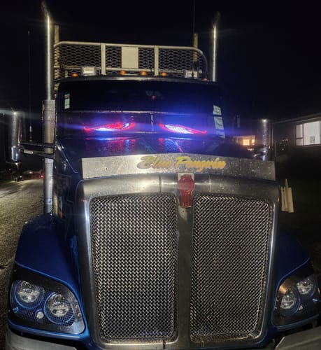 Customer photo review of LED Windshield Eyes For Car And Truck