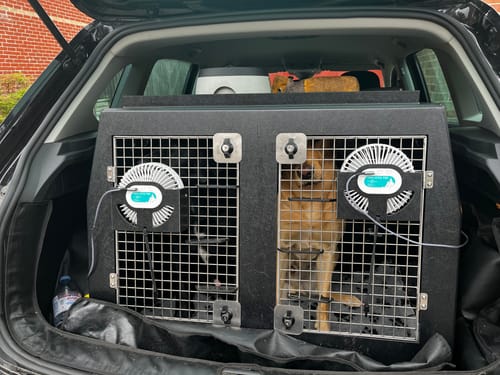 Customer photo review of Volkswagen Tiguan | 2021-Present | Lowered Boot | Dog Travel Crate | The DT 15