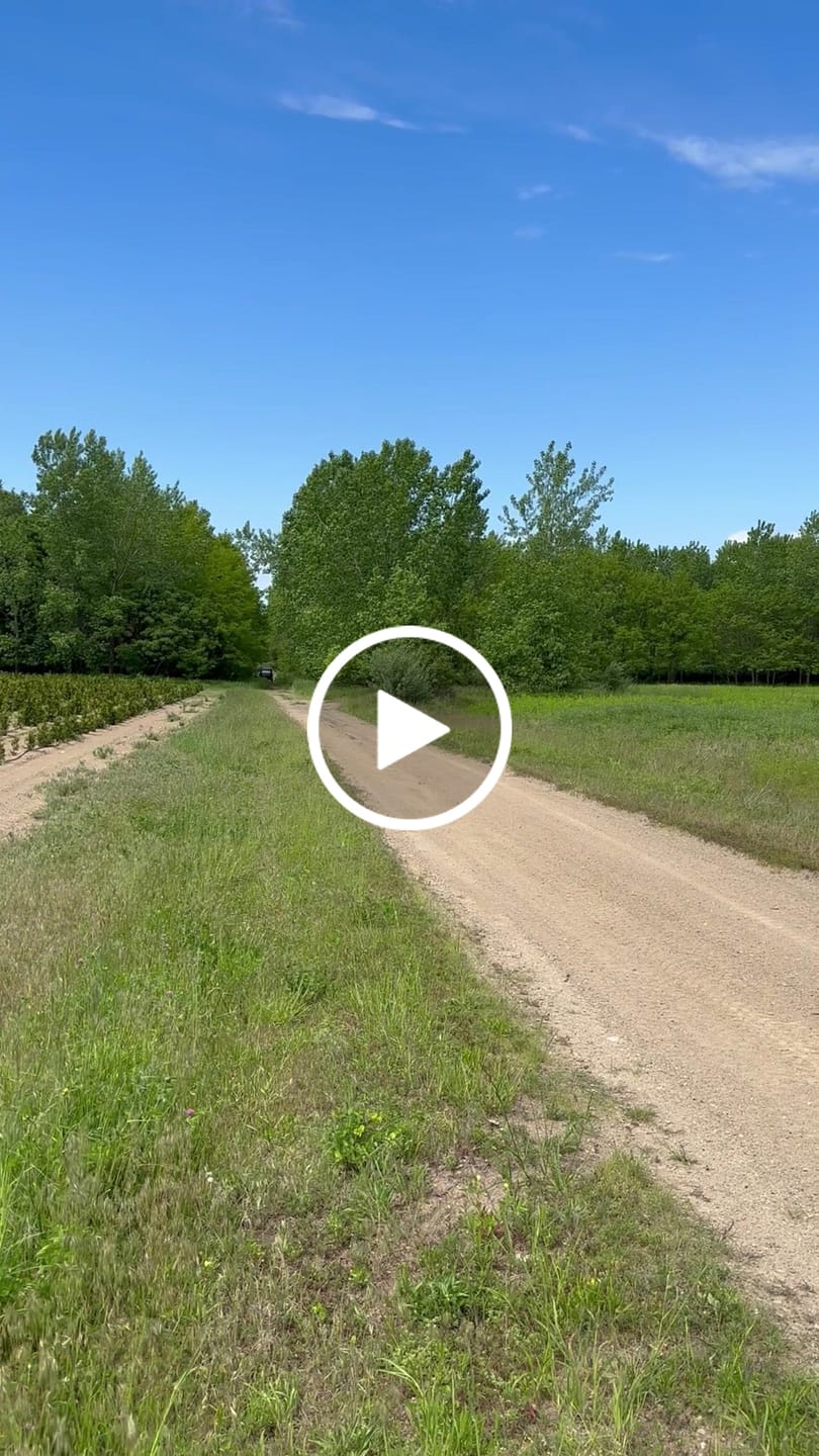 Customer video review of RPM Honda Talon 1000 Sport Muffler, Slip-On Sport Muffler