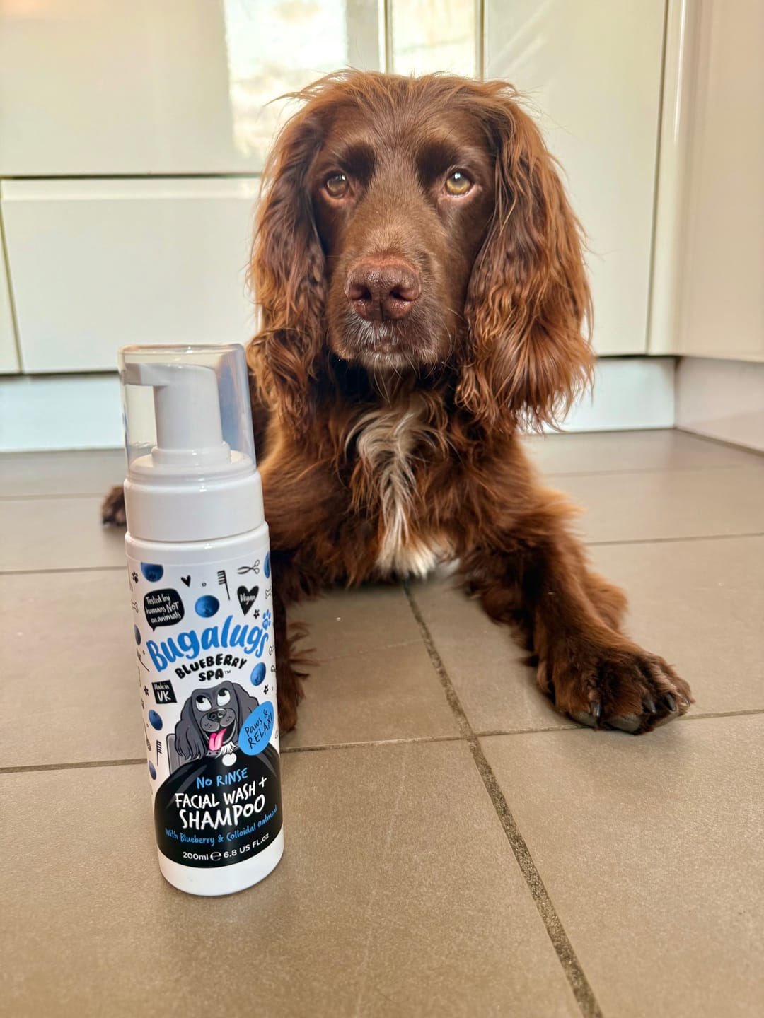 Customer photo review of Blueberry Spa™ No Rinse Facial Wash + Shampoo with Blueberry & Colloidal Oatmeal for Dogs