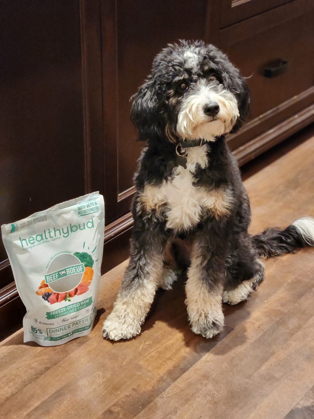 Customer photo review of Turkey Meal Bites