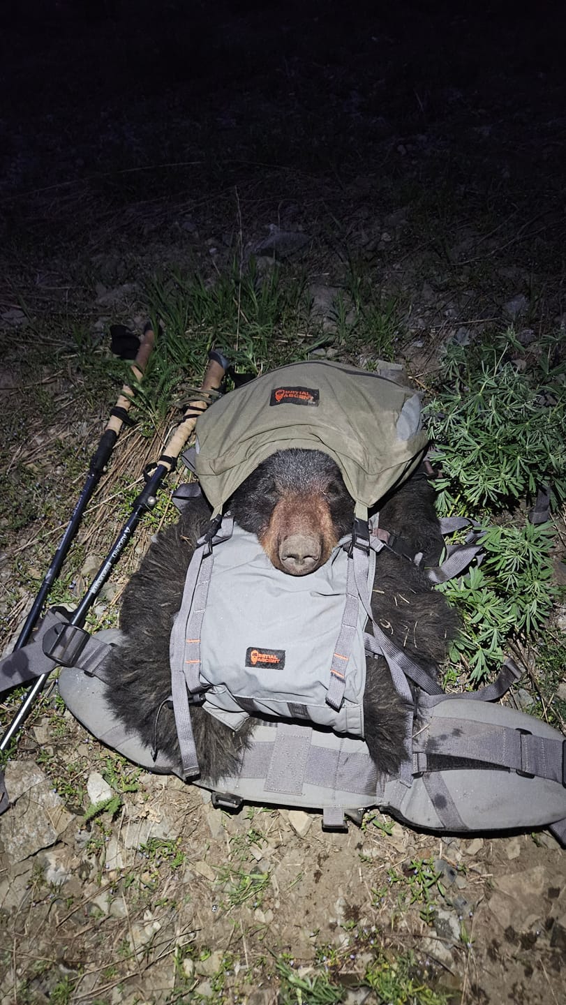Customer photo review of Pannier Load Carrier Accessory